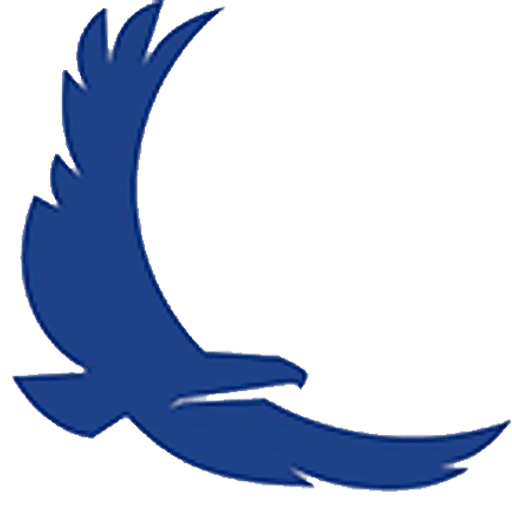 New Eagle Insurance - Logo Icon